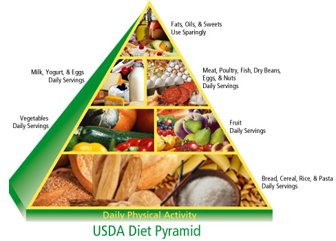 Food Pyramid For A Healthy Life